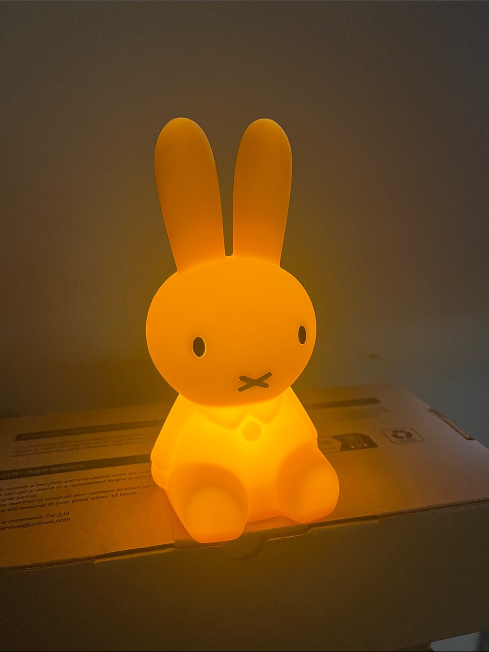 Miffy Bundle of Light